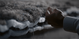 건조한 꼬리털을 섬유화하여 물리적인 가공